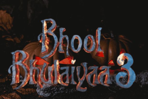 Bhool Bhulaiyaa 3 Review